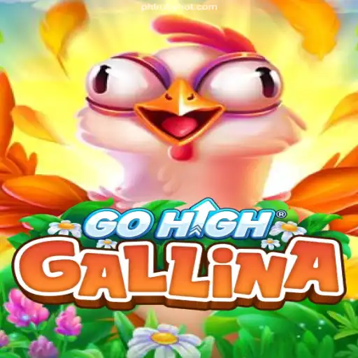 GoHighGallina: A Deep Dive into the Digital Roost